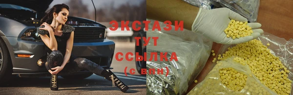 СК Дмитровск