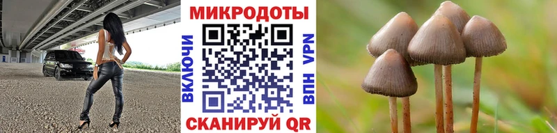 Псилоцибиновые грибы ЛСД  Купить закладки  Костерёво 